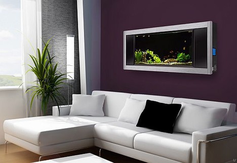 becatreo - Bể cá treo tường, sản phẩm nội thất phong thủy đẹp và hiện đại