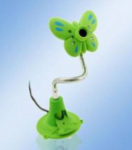 buom - Sử dụng biểu tượng loài bướm như thế nào cho may mắn?
