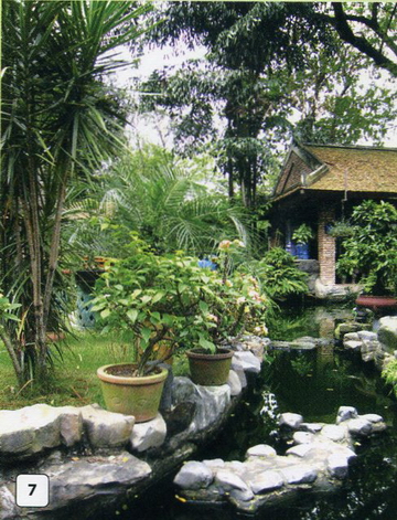 cayxanh10 - Bố trí cây xanh hài hòa phong thuỷ