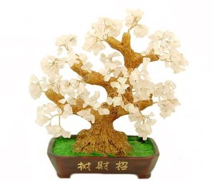 daquy - Cây đá quý phong thủy