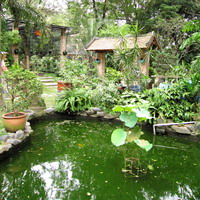 dongnuoc5 - Nhà ở và dòng nước
