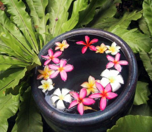 nuoc1 - Người kinh doanh nên biết về phong thủy