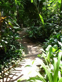 thailan7 - Thăm vườn Jim Thompson ở Thái Lan
