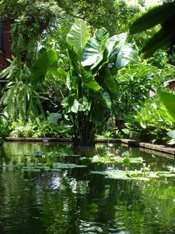 thailan9 - Thăm vườn Jim Thompson ở Thái Lan
