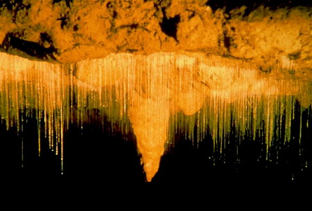 hangdong9 - Những hang động đẹp nhất thế giới