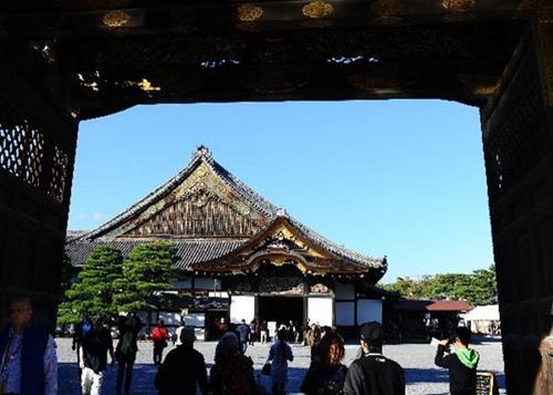 kyoto4 - Thăm thành cổ Nijo ở Kyoto