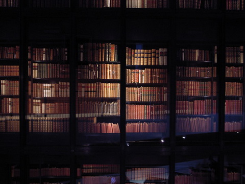 thuvien8 - Các thư viện tuyệt “đỉnh” vòng quanh thế giới