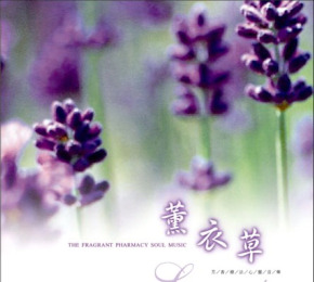hoatim - Hoa màu tím: hóa giải áp lực và giúp ngủ ngon