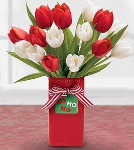 tulip - Loại hoa không thích hợp cho phòng ngủ