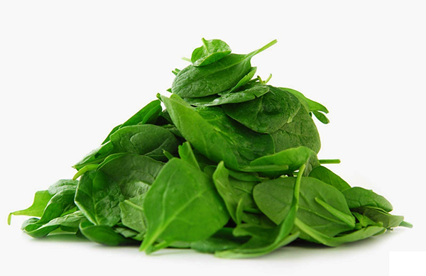 Mồng tơi là một trong những loại rau xanh có chứa nhiều vitamin giúp bé nhanh hạ sốt