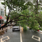 tin tức mới nhất trong ngày
