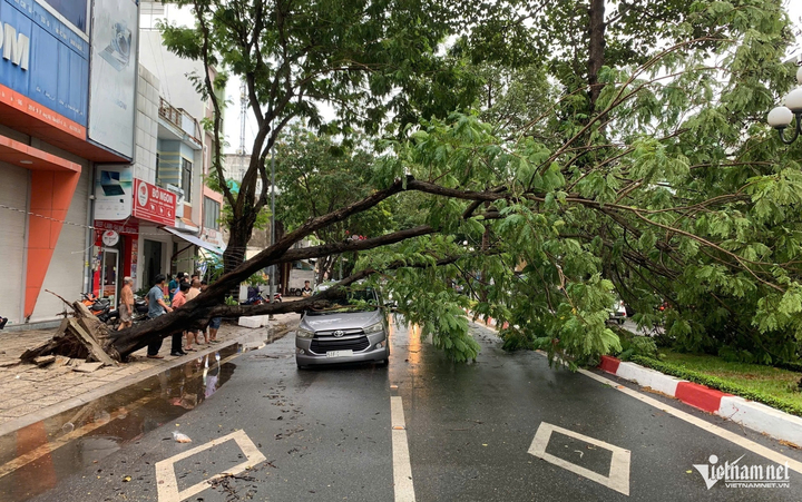 Mưa gió quật ngã nhiều cây xanh, đè trúng ô tô ở TP.HCM